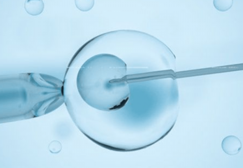 试管婴儿成功率与费用解析：如何提高受孕机会