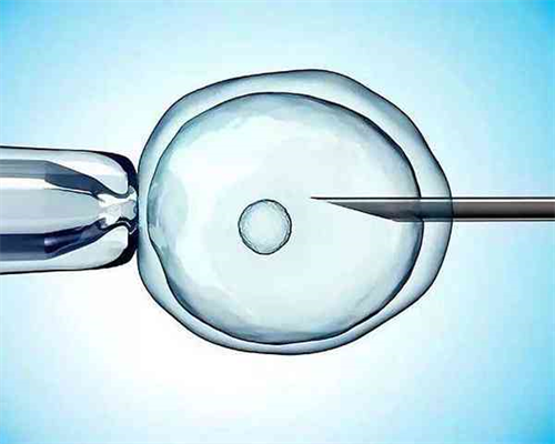 沈阳优质三代试管婴儿机构推荐与选择指南