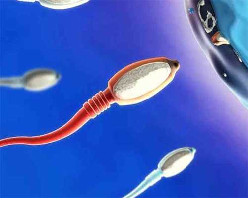 沈阳试管助孕技术解析与选择指南