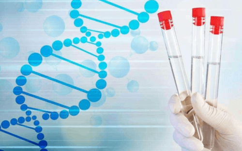 天津单身生子助孕机构费用解析与代怀流程指南