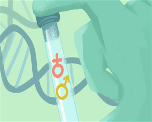 沈阳菁华医院与妇婴医院试管婴儿技术对比及选择指南