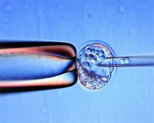 沈阳优质试管婴儿医院推荐与成功率解析