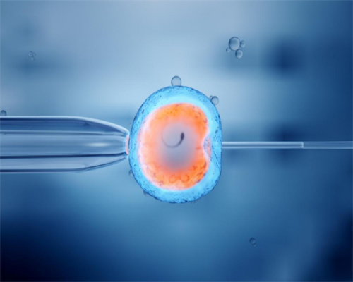 沈阳试管婴儿医院权威推荐与选择指南