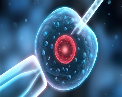 天津试管助孕机构排名及代怀费用详解