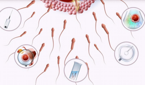 沈阳助孕试管机构选择指南与推荐医院