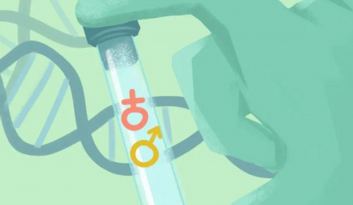 香港查血验男女有没有差不出来的_鉴定性别需要什么条件!_邯郸供卵试管公司