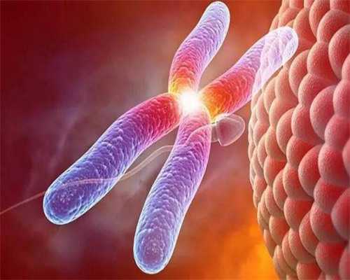 试管婴儿技术可靠性解析与成功率提升指南