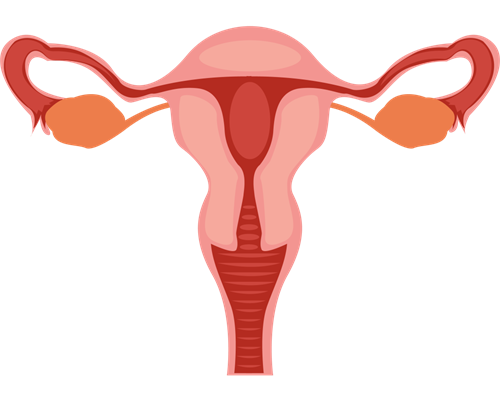 35岁做试管成功率高吗？试管成功率排行解析