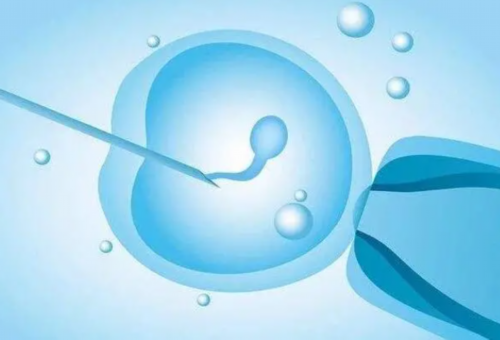 2026年沈阳试管婴儿医院排行及成功率解析