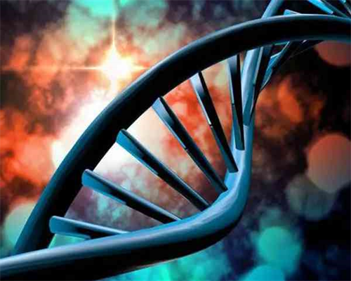 三胞胎试管婴儿长相差异大，婆婆疑心做亲子鉴定引发家庭风波