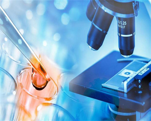 权威试管婴儿机构选择指南与优势解析