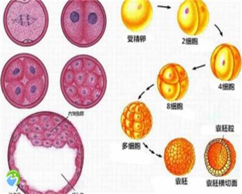 2026天津试管代生指南：正规供卵中介与医院排名