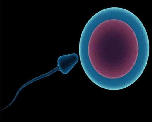 试管婴儿性别选择技术解析与伦理考量