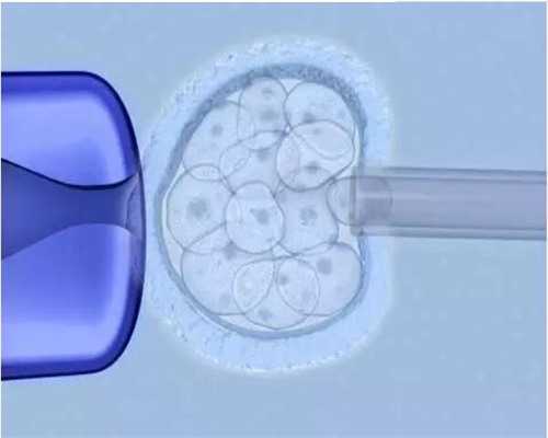 沈阳201医院妇科服务与皮肤科查询指南