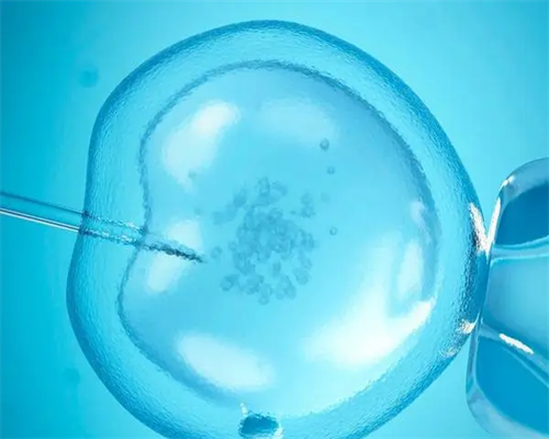 沈阳三代试管助孕流程与内膜调理指南