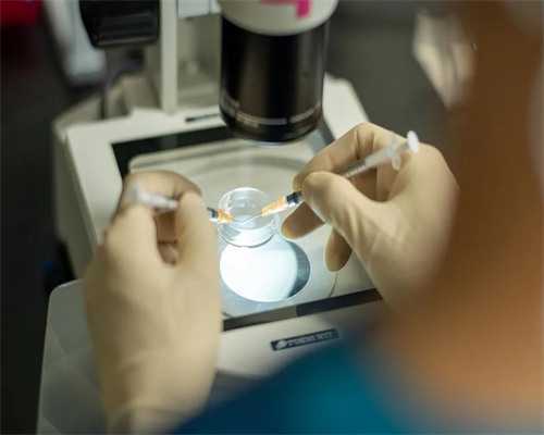 东北地区优质试管医院推荐与助孕服务指南