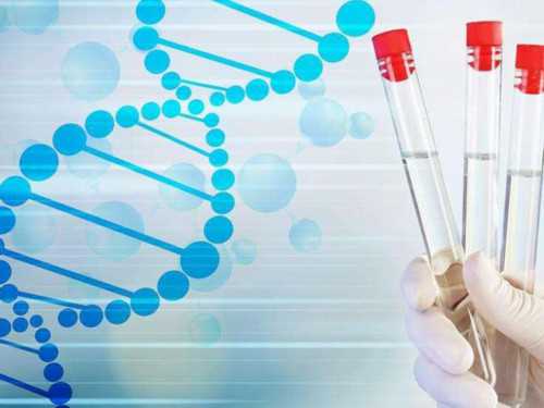 天津代怀试管助孕服务解析：医院选择与费用指南