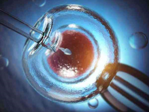 天津子宫切除后能否通过试管婴儿助孕及正规中介服务解析