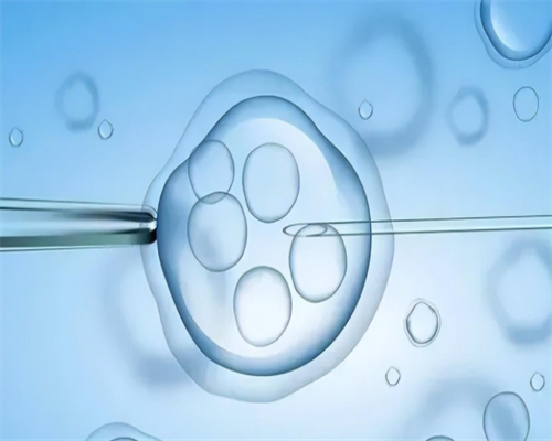 沈阳试管婴儿医院哪家最快？专业推荐与预约指南