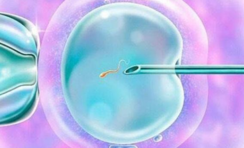 沈阳试管婴儿医院排名与选择指南（沈阳试管助孕哪家好）