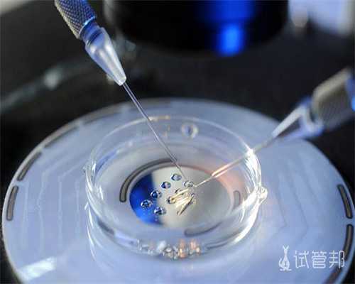 沈阳赴柬埔寨试管助孕指南：转机需求与全面解析