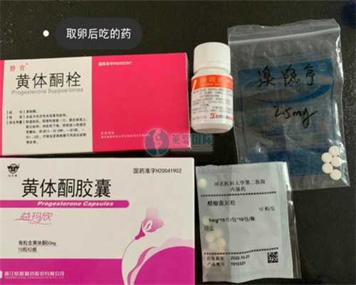 天津试管婴儿双胞胎可能性解析与代孕服务指南