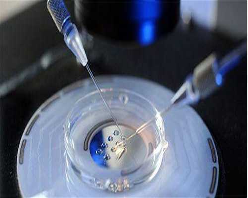 2026年供卵试管医院排名与助孕成功率权威榜单