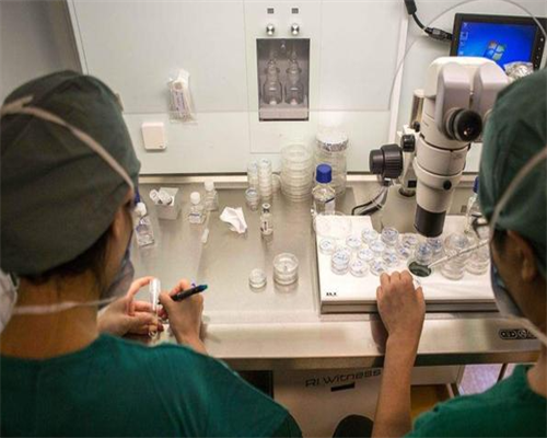 沈阳试管助孕机构哪家强_2026年热门推荐