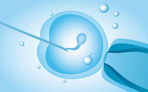 大型助孕机构成功率排行与专业选择指南