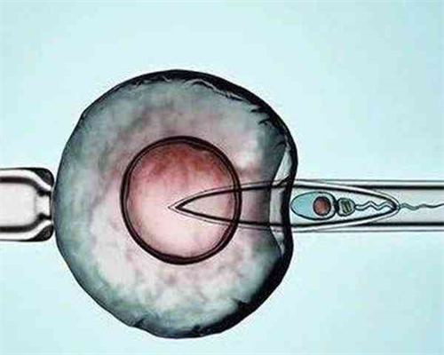 沈阳菁华医院与盛京医院养囊成功率对比及代生代怀选择指南