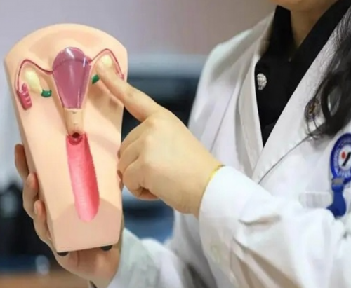 天津二次试管婴儿费用解析与三代试管医院选择指南