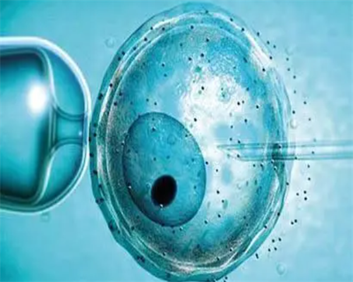 专业正规代怀与卵巢切除后试管婴儿指南