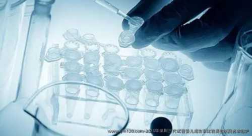 2026北京公立医院供卵与三代试管费用明细及流程解析