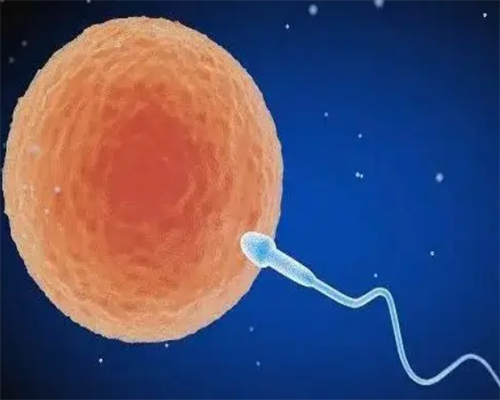 沈阳试管成功率高的医院选择与助孕因素分析