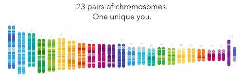 沈阳生殖核心医院哪家好？权威排名与选择指南