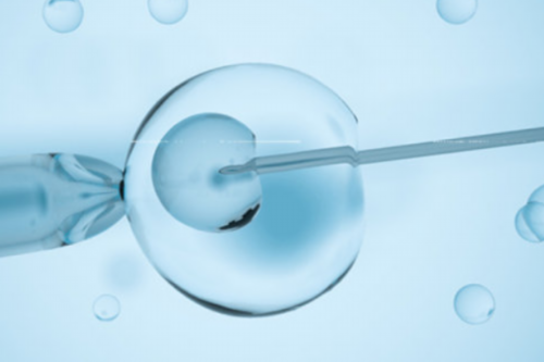 沈阳试管婴儿医院哪家强？辽宁省人民医院专家团队与成功案例解析