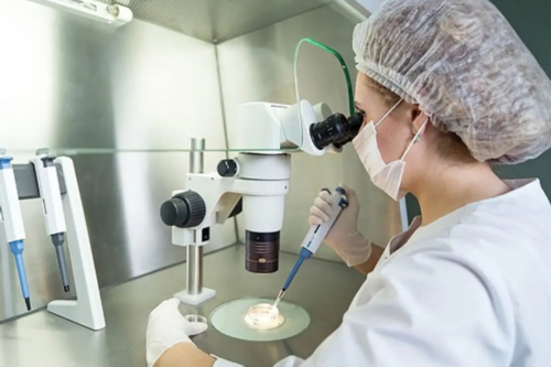 试管婴儿性别选择与成功率解析：法律限制与技术可能性