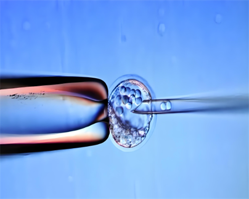 沈阳京科医院试管助孕服务可靠吗？专业解答与流程介绍