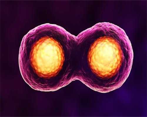 沈阳试管婴儿费用详解与代怀助孕服务指南