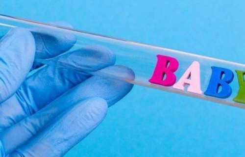 试管双胞胎实现梦想：费用与流程全解析