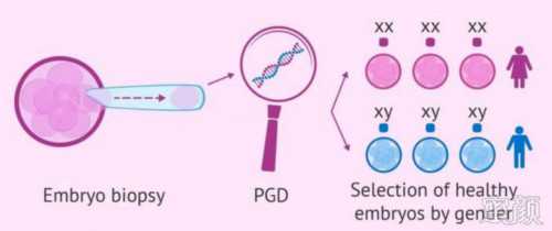 天津供卵试管医院患者染色体平衡易位应对策略与2026年正规机构盘点