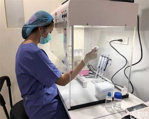 权威助孕医院排名与双胞胎试管婴儿可行性解析